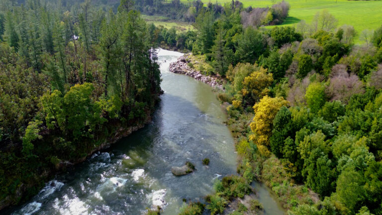 Comité de Ministros aprueba proyecto Embalse Zapallar pese a deficiencias ambientales reconocidas